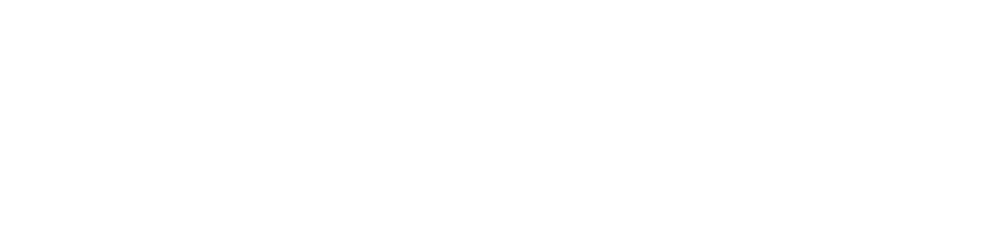 DealWise Logo